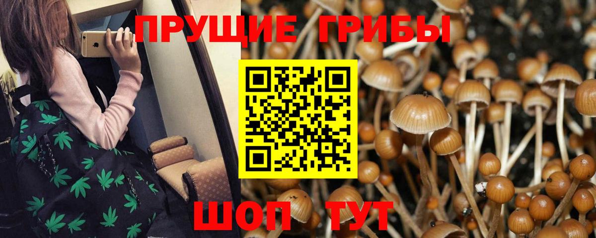 Галлюциногенные грибы GOLDEN TEACHER  Вход с VPN  Добрянка 